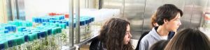 ENCUENTRO EN EL INSTITUTO DE RECURSOS NATURALES Y AGROBIOLOGÍA DE SEVILLA –IRNAS-
