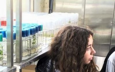 ENCUENTRO EN EL INSTITUTO DE RECURSOS NATURALES Y AGROBIOLOGÍA DE SEVILLA –IRNAS-